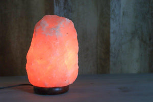Natural Himalayan Salt Lamp 9-12 Lbs - Himalayan Secrets™