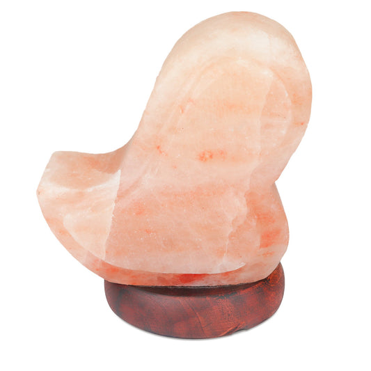 Himalayan Salt Heart Shape Lamp 5" - Himalayan Secrets™